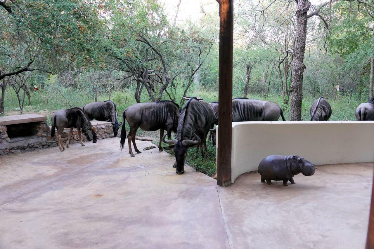 Treetops Marloth Park Eksteriør billede